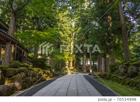 Summer view of temple path through forest trees, Eiheiji, Fukui Prefecture, Japan. 70534996