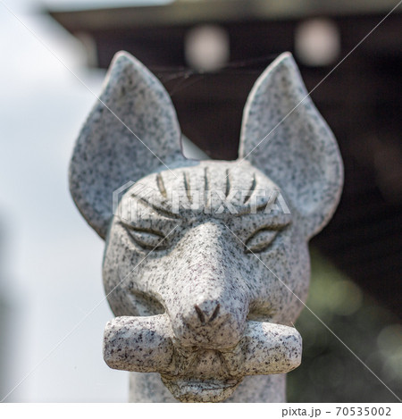 Historic stone statue of a fox, or kitsune, messenger of the God Inari, holding in its mouth a symbolic scroll, at Nomachiinari shinto shrine in Kanazawa city, Ishikawa Prefecture, Western Japan. Historic stone statue of a fox, or kitsune, messenger of the God Inari, holding in its mouth a symbolic scroll, at Nomachiinari shinto shrine in Kanazawa city, Ishikawa Prefecture, Western Japan. 70535002