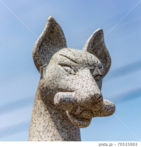 Historic stone statue of a fox, or kitsune, messenger of the God Inari, holding in its mouth a symbolic scroll, at Nomachiinari shinto shrine in Kanazawa city, Ishikawa Prefecture, Western Japan. Historic stone statue of a fox, or kitsune, messenger of the God Inari, holding in its mouth a symbolic scroll, at Nomachiinari shinto shrine in Kanazawa city, Ishikawa Prefecture, Western Japan. 70535003