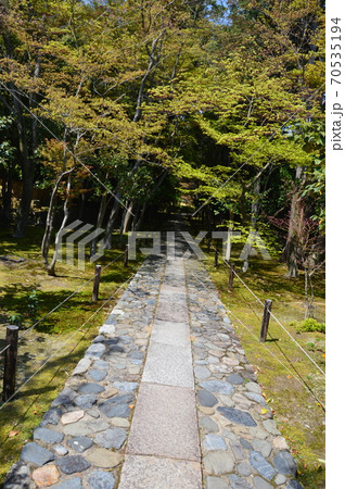 鹿王院の参道（京都市右京区嵯峨北堀町） 70535194