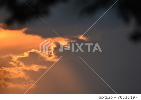 夕焼けの空(立川公園/東京都立川市) 夕焼けの空(立川公園/東京都立川市) 70535197