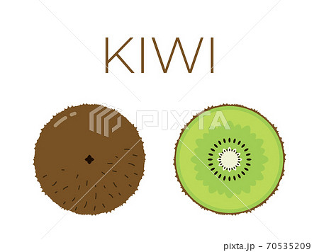 Vector of kiwi and sliced half of kiwi on white background 70535209