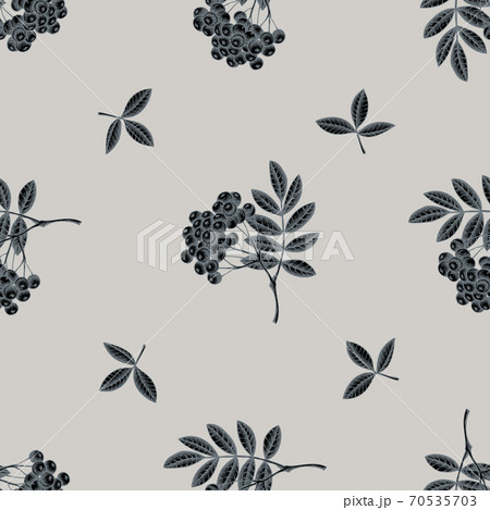Seamless pattern with hand drawn stylized rowan 70535703