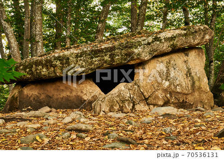 ancient megalith dolmen among trees in an autumn grove 70536131