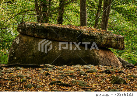 ancient megalith dolmen among trees in an autumn grove 70536132