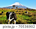 牛と富士山の年賀状素材 70536902