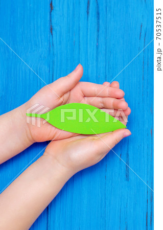 Paper green leaf in hands of child. Paper green leaf in hands of child. 70537515