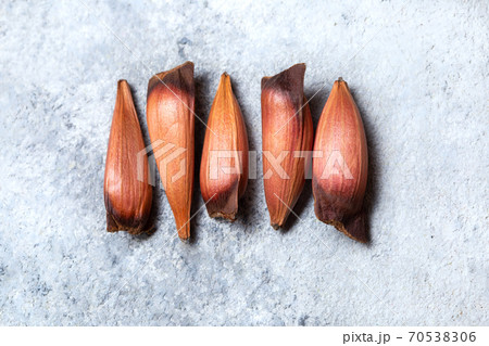 Raw edible Chilean patagonian pinones pine nuts of pine or monkey puzzle tree Araucaria araucana 70538306