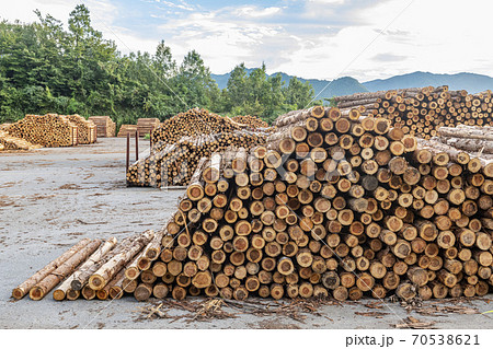 切り出された国産木材 切り出された国産木材 70538621