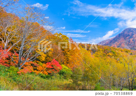 三宝荒神山と紅葉 70538869
