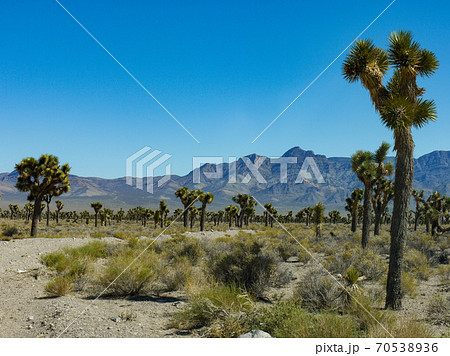 エリア51 70538936