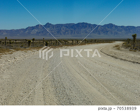 エリア51 70538939