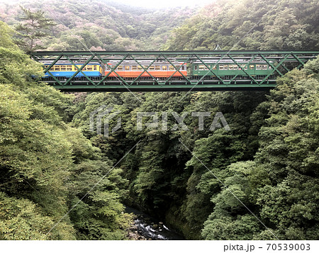 出山の鉄橋を渡る箱根登山鉄道旧塗装3連 70539003