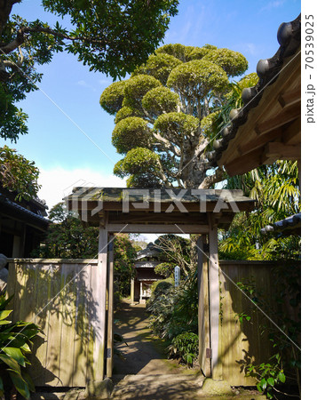 出水　麓武家屋敷群 70539025