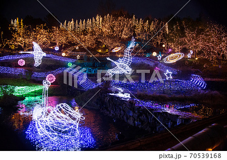 国営備北丘陵公園のイルミネーションの写真素材