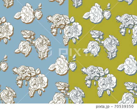 Blue and Mustard line patterns of wild roses. Blue and Mustard line patterns of wild roses. 70539350