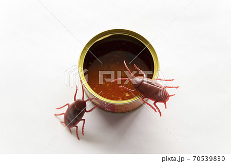 食べ残した缶詰に群がるゴキブリ 70539830
