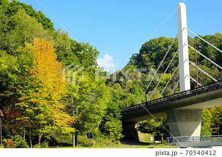 美しい紅葉と橋 美しい紅葉と橋 70540412
