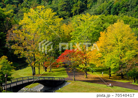 美しい紅葉と橋 美しい紅葉と橋 70540417