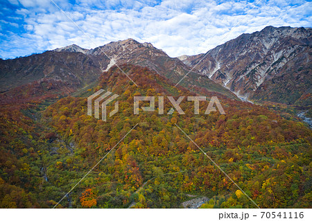 白馬三山の迫力ある眺めと大雪渓まで広がる美しい紅葉　長野県白馬村（ドローンによる空撮） 70541116