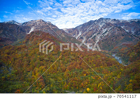 白馬三山の迫力ある眺めと大雪渓まで広がる美しい紅葉　長野県白馬村（ドローンによる空撮） 70541117