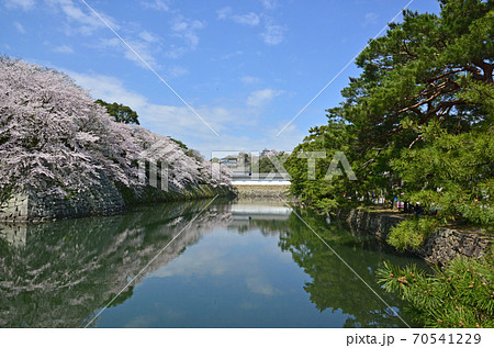彦根城 彦根城 70541229