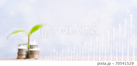 Young plant grow on coins stack and financial stock market graph. 70541529