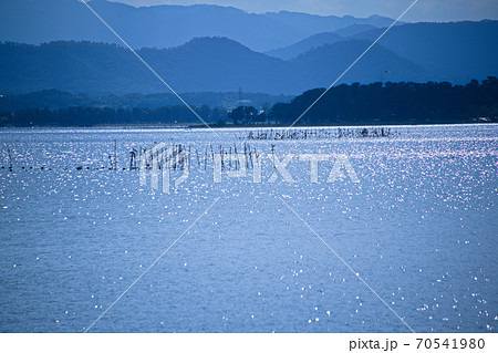 穏やかなびわ湖 穏やかなびわ湖 70541980