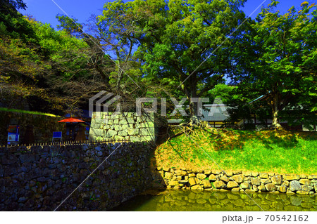 滋賀県彦根市の彦根城の風景、お城、、彦根城、日本歴史【10月】 70542162