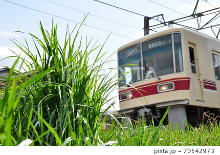 新京成電鉄新京成線、八柱・常盤平駅間を走る普通列車(8800形) 新京成電鉄新京成線、八柱・常盤平駅間を走る普通列車(8800形) 70542973