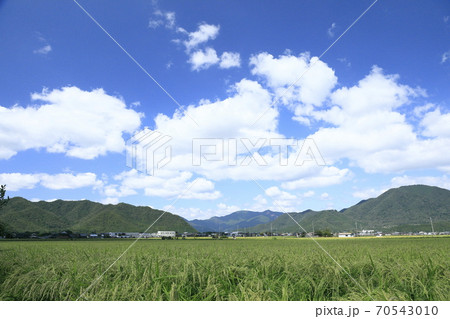 青空の下の田園風景【横】 70543010