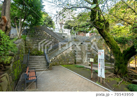 乃木公園 70543950