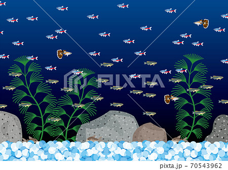 カラフルな熱帯魚が群れ泳ぐアクアリウムのイラスト素材