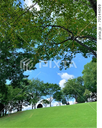 笠間工芸の丘・クラフトヒルズKASAMA～のんびりくつろげる芸術の森公園 70544069