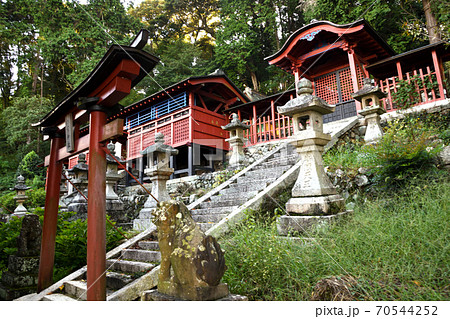 意賀美神社　本殿(泉佐野市) 70544252