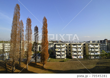 千里ニュータウン佐竹台（大阪府吹田市）の府営千里佐竹台住宅 70545281