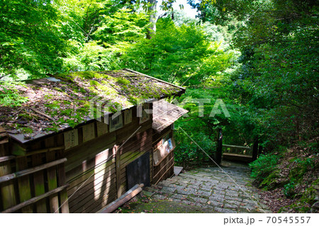 絶景スポット嵐山の秘境「大悲閣 千光寺」 絶景スポット嵐山の秘境「大悲閣 千光寺」 70545557