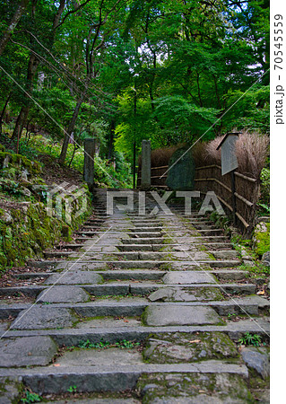 絶景スポット嵐山の秘境「大悲閣 千光寺」 絶景スポット嵐山の秘境「大悲閣 千光寺」 70545559