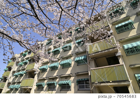 千里ニュータウン佐竹台（大阪府吹田市）の府営千里佐竹台住宅 70545683