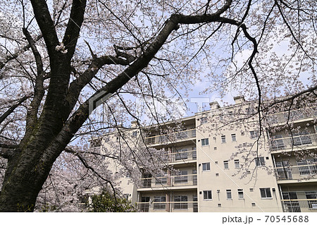 千里ニュータウン佐竹台（大阪府吹田市）の府公社佐竹台C団地 70545688