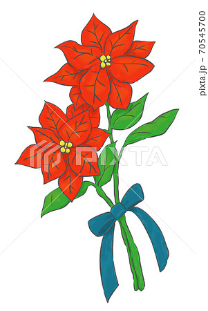 ポインセチアの花束 70545700
