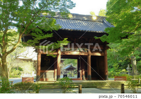 【鎌倉】妙本寺（みょうほんじ）二天門・にてんもん 70546011
