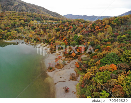 赤城山小沼　紅葉 70546329