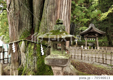 戸隠神社・中社の三本杉(手水所前) 戸隠神社・中社の三本杉(手水所前) 70546613