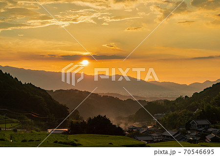 奈良県明日香村細川の夕刻の棚田を撮影 奈良県明日香村細川の夕刻の棚田を撮影 70546695