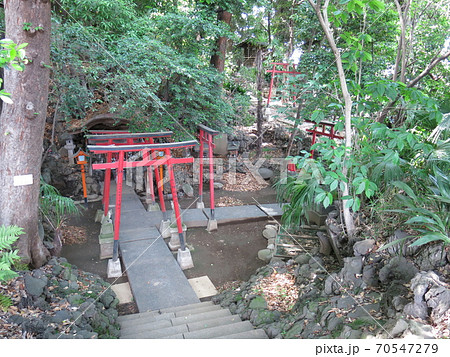 文京区の澤蔵司稲荷（霊窟付近） 70547279