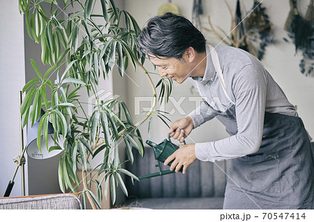 観葉植物に水をあげる男性の写真素材