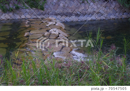 秋の川沿いの風景 70547505