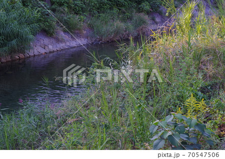 秋の川沿いの風景 70547506