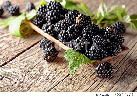 Ripe juicy blackberries with leaves on a wooden table. Ripe juicy blackberries with leaves on a wooden table. 70547574
